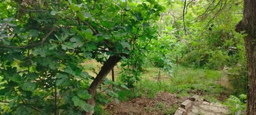 Vente Villa Boumerdès Boudouaou