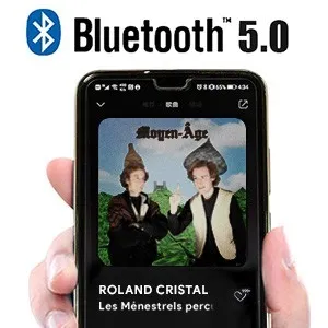 SMSL DO100 Double DAC 2 x ES9038Q2M XMOS + Bluetooth 5.0 aptX HD LDAC 32bit 768kHz DSD512