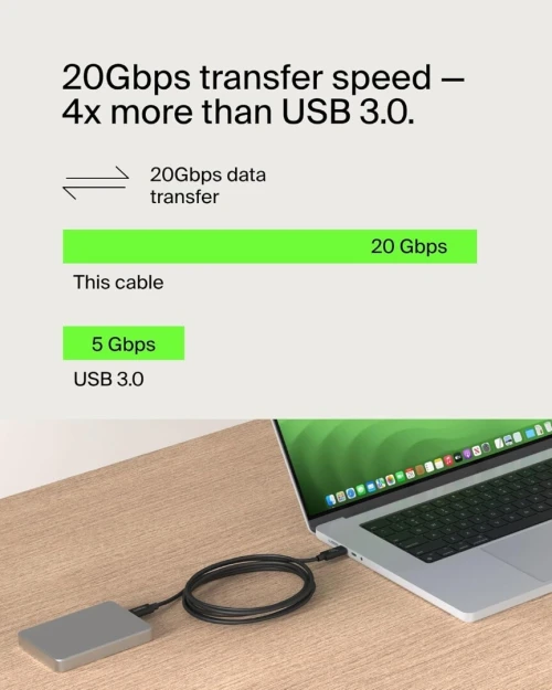 Belkin Connect Câble USB4 certifié ( USB-C vers USB-C ) 4K 60Hz Data Sync à 20 Gbit/s (câble de recharge Power Delivery 240 W, Longueur 2 mètre , pour MacBook, Windows, Chromebook, Full Compatible.
