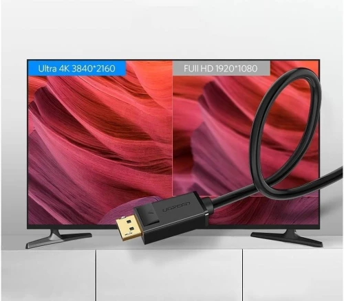 HP Cable DisplayPort 1.2 -  4K 60 Hz - 1.8 Metre