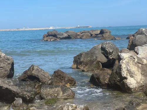 Vente Appartement F3 Jijel Jijel