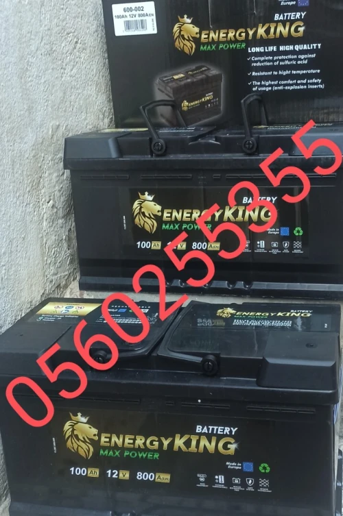 BATTERIE 12V ENERGY KING 100 AH