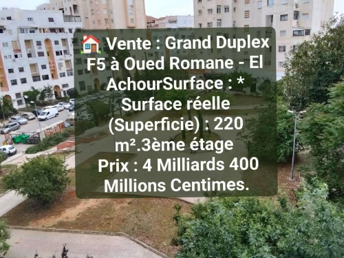 Vente Appartement Duplex F5 Alger El achour