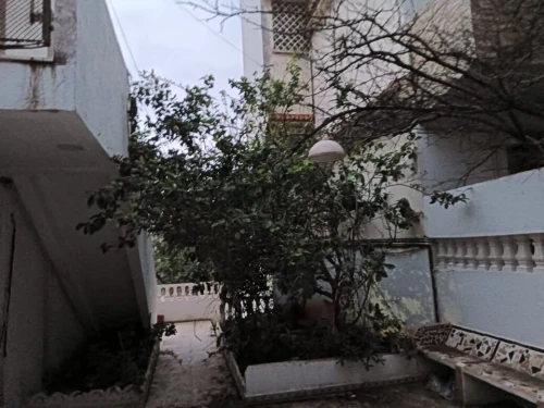 Vente bien immobilier Alger Ouled fayet