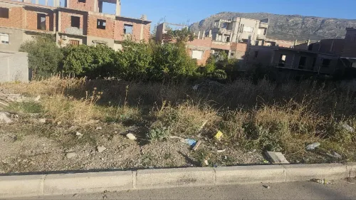 Vente Terrain Constantine Ibn ziad