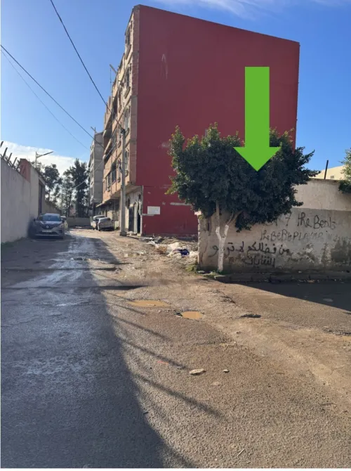 Vente Terrain Alger Les eucalyptus