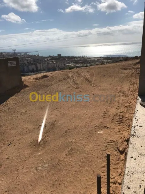 Vente Terrain Mostaganem Sayada