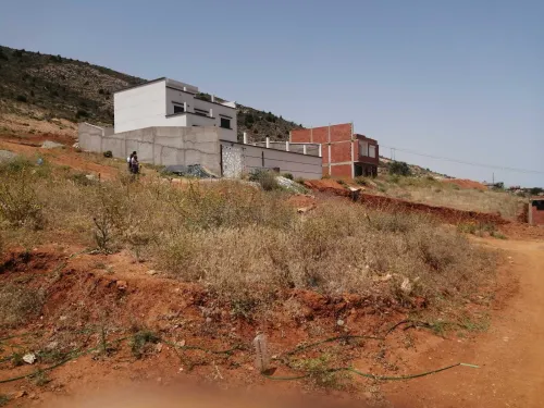 Vente Terrain Tlemcen Souk tlata