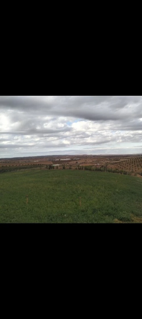 Vente Terrain Agricole Mascara Zahana