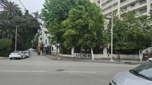 Vente Immeuble Annaba Annaba