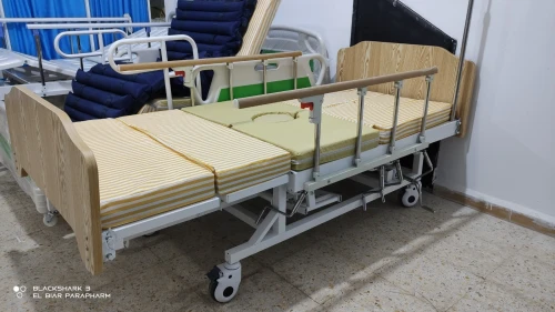 Lit Médicalisé Manuel 7 Position Avec Toilettes En ABS Importation