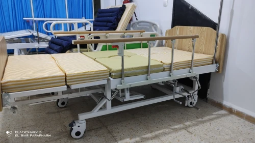 Lit Médicalisé Manuel 7 Position Avec Toilettes En ABS Importation