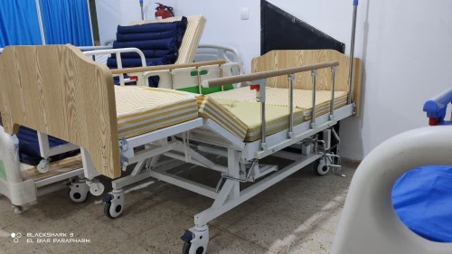 Lit Médicalisé Manuel 7 Position Avec Toilettes En ABS Importation