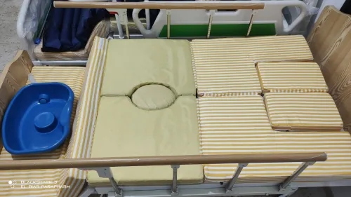 Lit Médicalisé Manuel 7 Position Avec Toilettes En ABS Importation