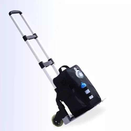 Concentrateur d'oxygène portable 6 L 