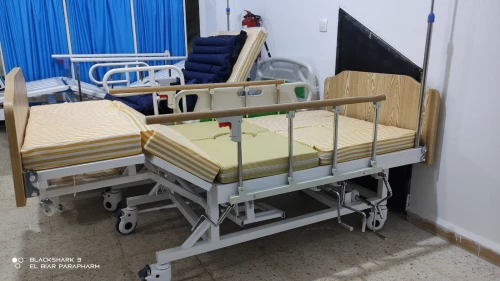 Lit Médicalisé Manuel 7 Position Avec Toilettes En ABS Importation