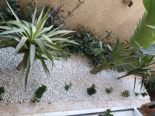 Gazon et plantes