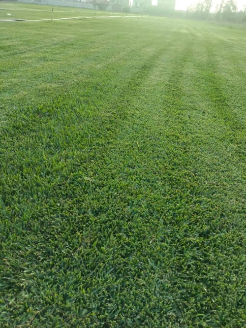 Aménagement d'espaces verts et nettoyage