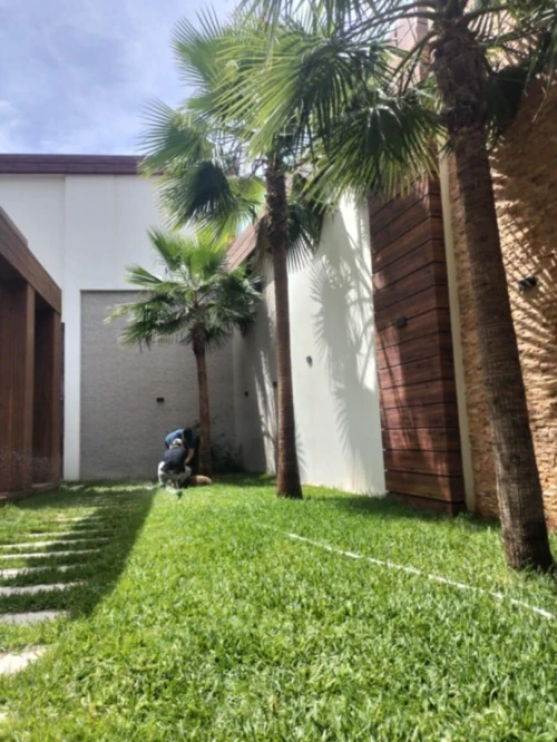 Espace vert et Gazon Naturel 