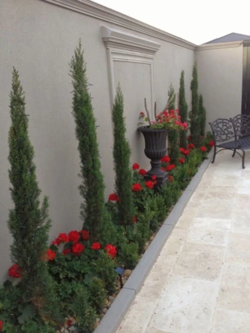 Gazon et plantes 