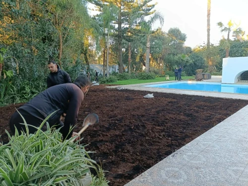 Aménagement d'espaces verts et nettoyage