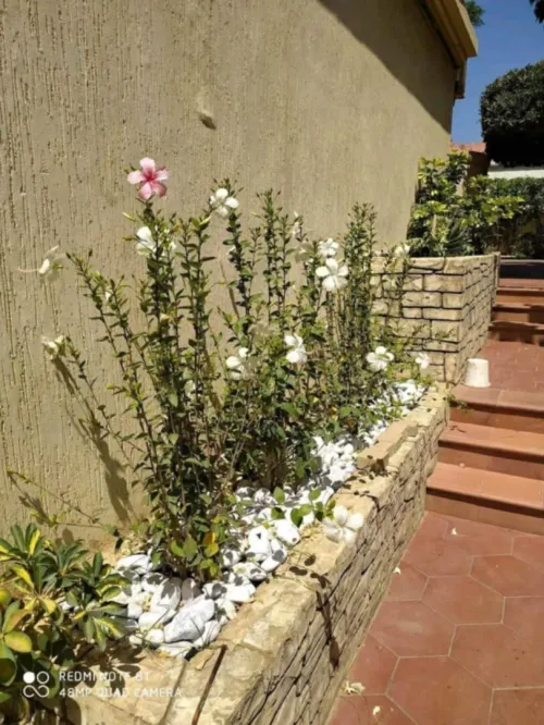 Espace vert et Gazon Naturel 