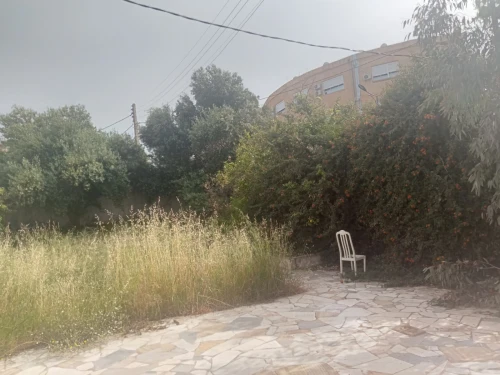 Vente Terrain Skikda Skikda