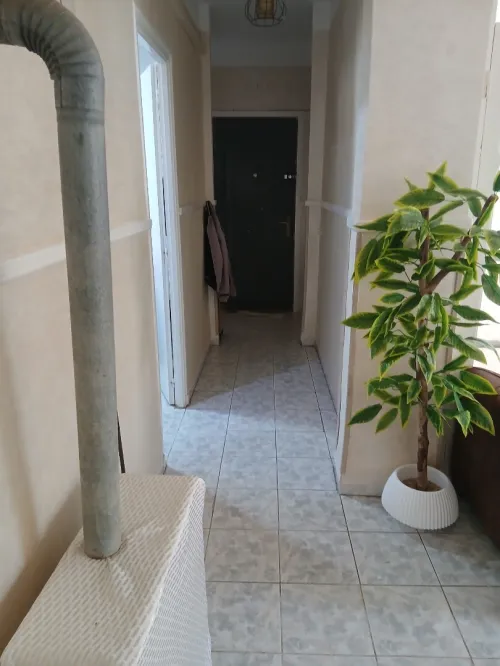 Vente Local Béjaïa Bejaia