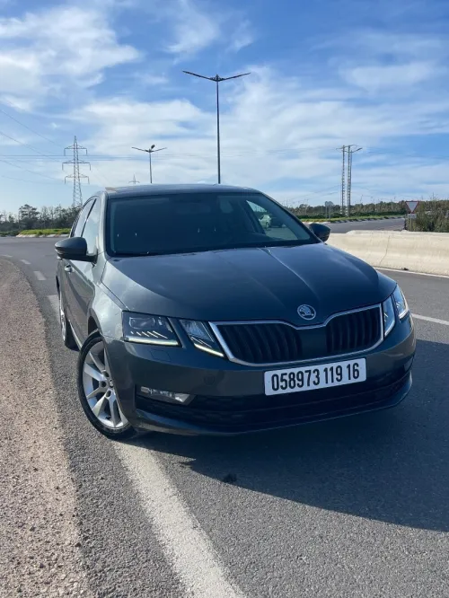 Skoda Octavia 2019 Clever