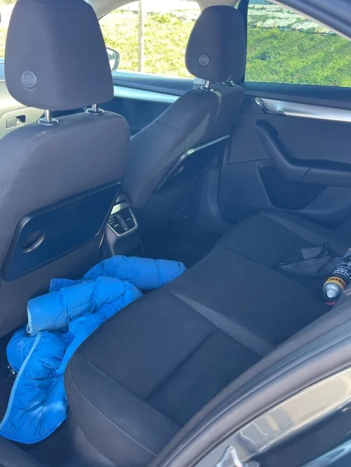 Skoda Octavia 2019 Clever