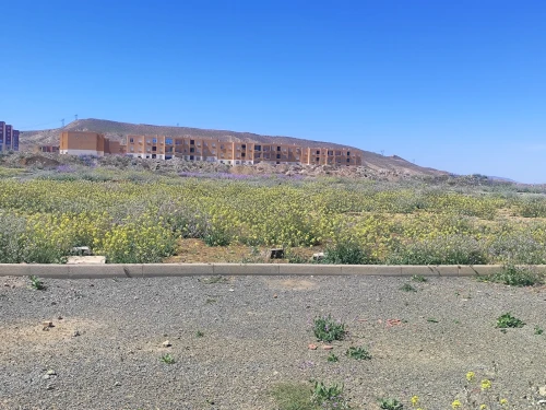Vente Terrain Batna Ain touta