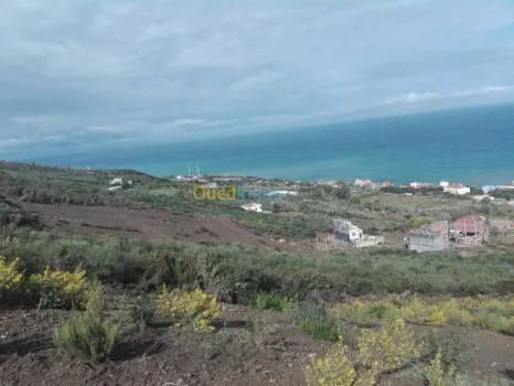 Vente Terrain Béjaïa Beni ksila
