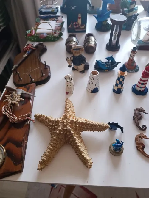 Collections variée d'objets de décoration sur le thème marin