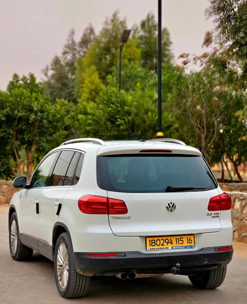 Volkswagen Tiguan 2015 CUP