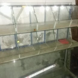 a vendre comptoir en aluminium & présentoir pour bonbons