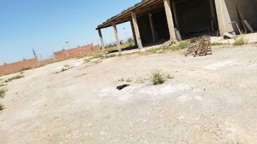 Location Oran Oued tlelat