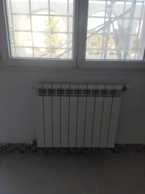 Plombier chauffagiste ambulant 