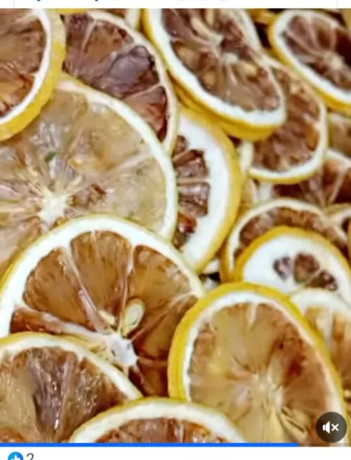 séchoir alimentaire مجفف الشخشوخة و العجائن و الخضر و الفواكه و الاعشاب 220فولط