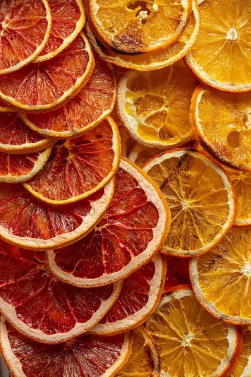 séchoir alimentaire مجفف الشخشوخة و العجائن و الخضر و الفواكه و الاعشاب 220فولط