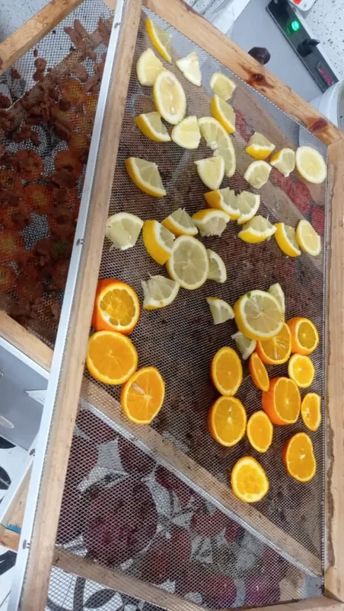 séchoir alimentaire مجفف الشخشوخة و العجائن و الخضر و الفواكه و الاعشاب 220فولط