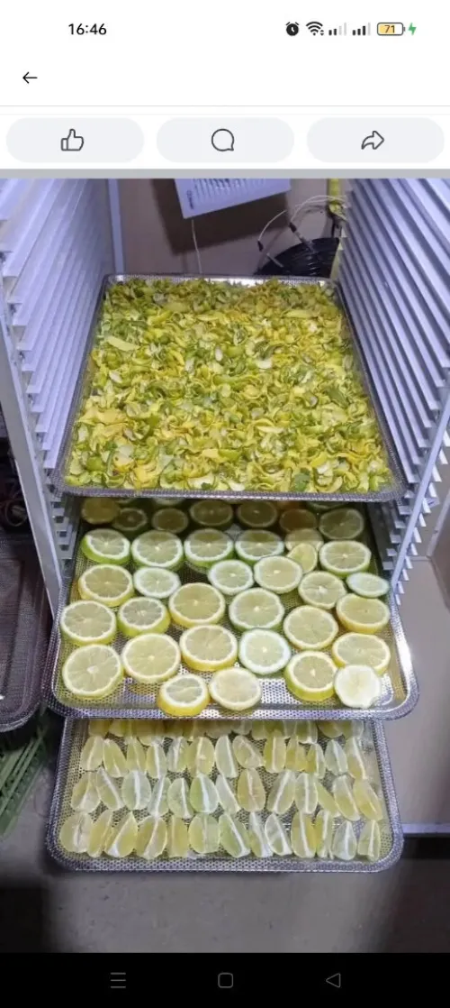 مجفف الشخشوخة و العجائن و الخضر و الفواكه و الاعشاب الطبية  séchoir alimentaire