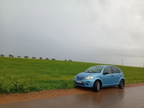 Citroen C3 Pluriel 2004 C3 Pluriel