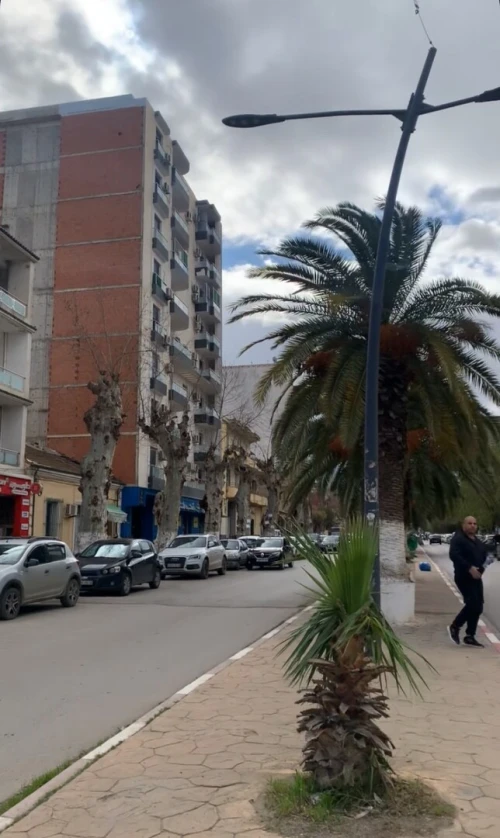 Vente Appartement F3 F4 Blida Boufarik