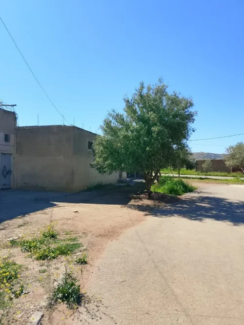 Vente Villa Tlemcen Dar yaghmouracene