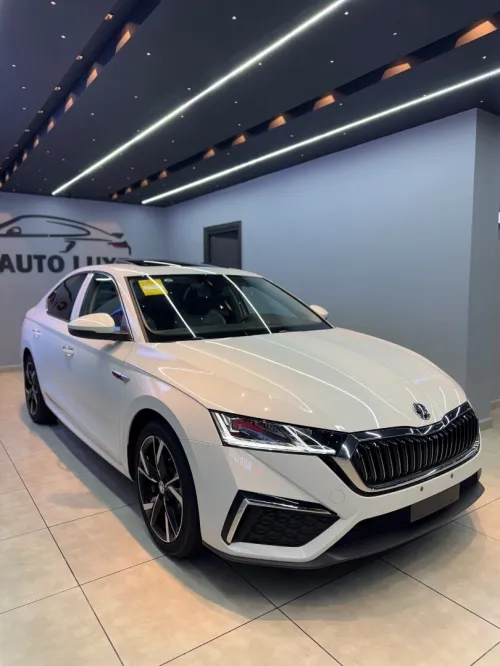 Skoda Octavia 2024 Pro