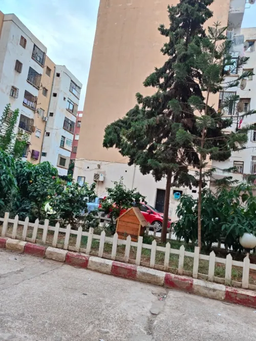 Vente Local Oran Bir el djir