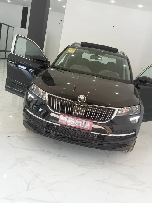 Skoda Karoq 2025 Full options