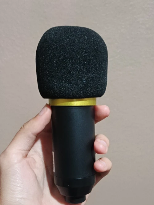Microphone BM 800 GOLD (JAMES UTILISER)