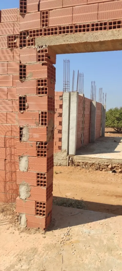 Vente Terrain Mostaganem Sayada
