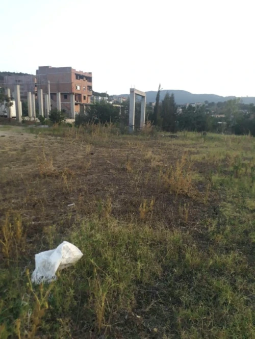 Vente Terrain Boumerdès Tidjelabine